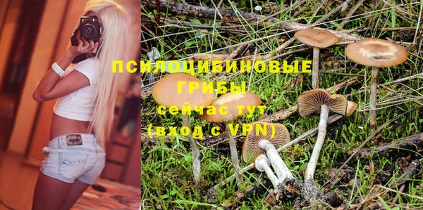 не бодяженный Алзамай