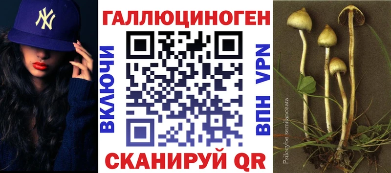Псилоцибиновые грибы мицелий Константиновск